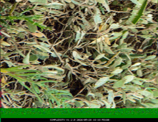 SSTV image