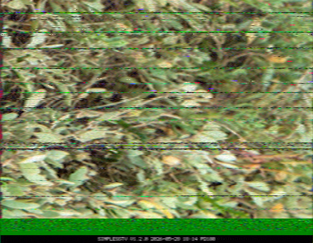 SSTV image